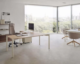 Кабинет руководителя Terra (of) images