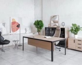 Кабинет руководителя Enzo images