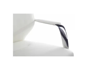 Кресло RV ДИЗАЙН Алонзо-М / Alonzo-M (В1711) images