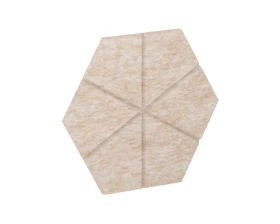 Настенная панель шестигранная (6 лучей) VE.NP-6G6L-100 200x173x12 AcustiX images