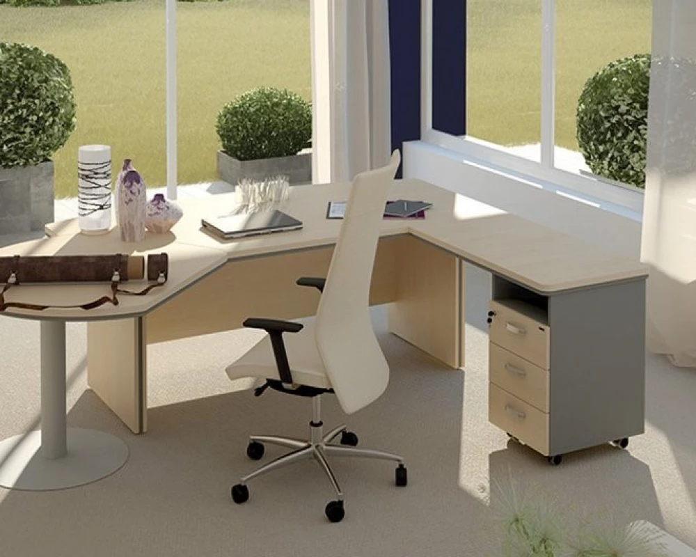 Кабинет руководителя Берлин Директор