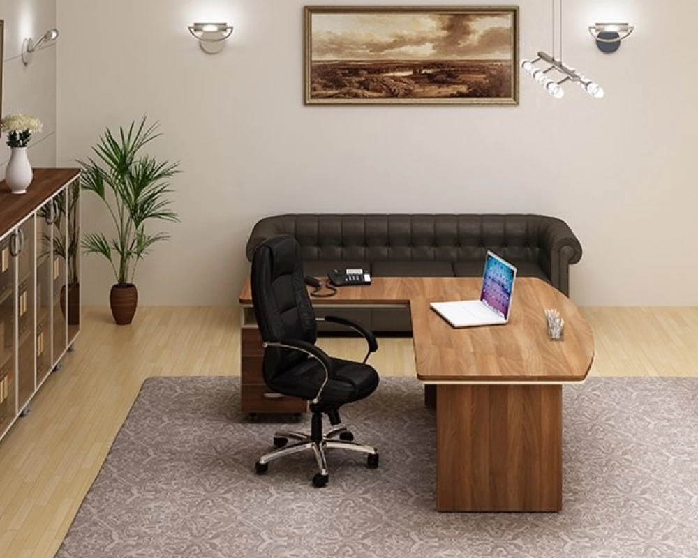 Кабинет руководителя Берлин Директор