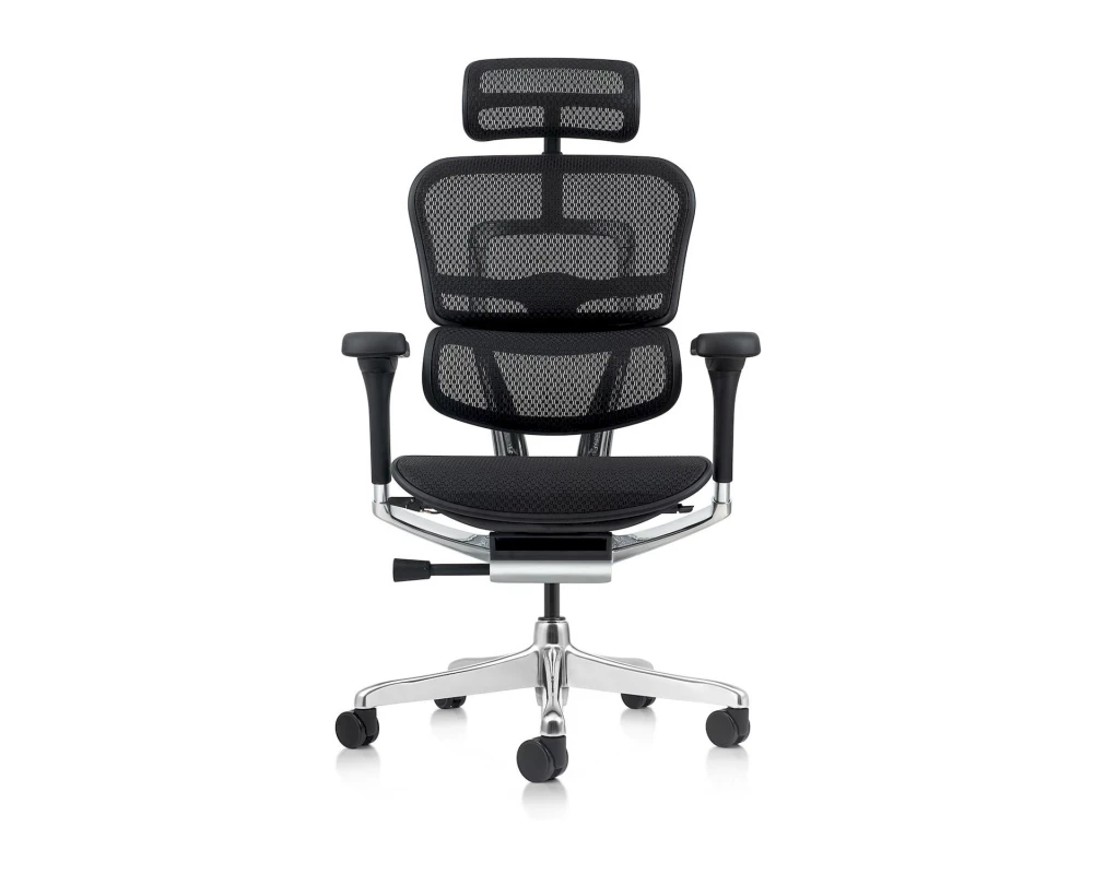 Кресло руководителя Ergohuman Elite 2 HAM Сетка, Черный