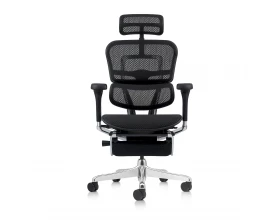 Кресло руководителя Ergohuman Elite 2 HAM с подставкой для ног Сетка, Черный images