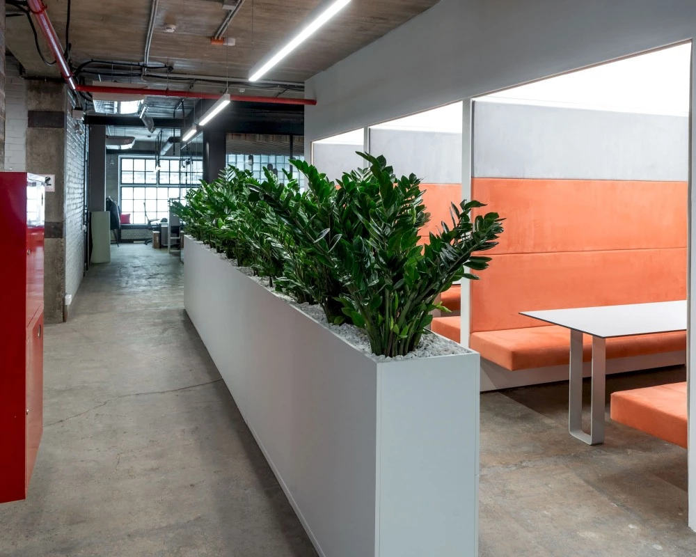 Акустическая кабина LWOP FOUR OPEN