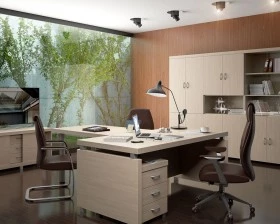 Кабинет руководителя Модерн images